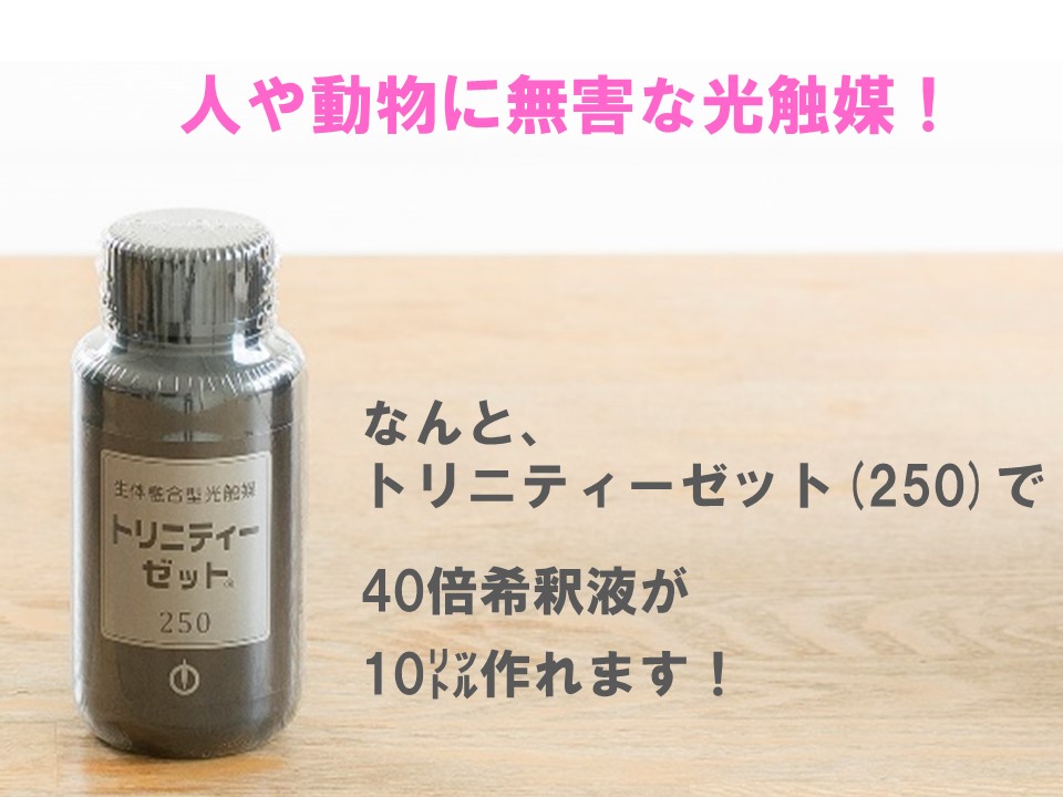 人や動物にやさしい光触媒.jpg